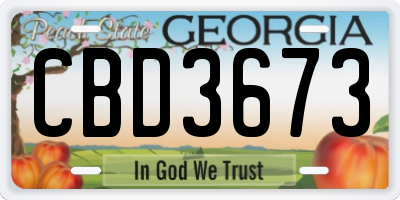 GA license plate CBD3673