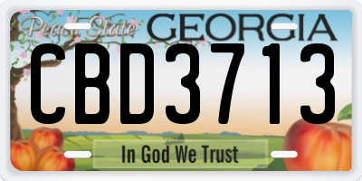 GA license plate CBD3713