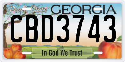 GA license plate CBD3743