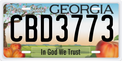 GA license plate CBD3773