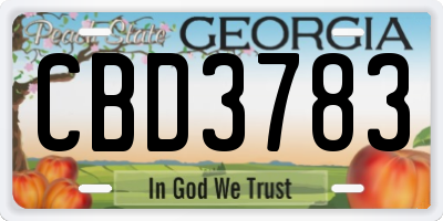 GA license plate CBD3783