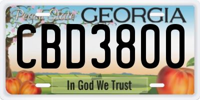 GA license plate CBD3800