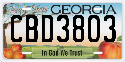 GA license plate CBD3803