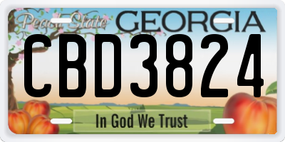 GA license plate CBD3824