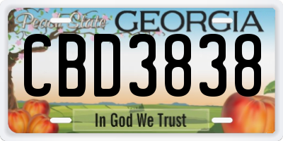 GA license plate CBD3838