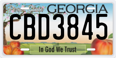 GA license plate CBD3845
