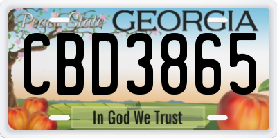 GA license plate CBD3865
