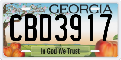 GA license plate CBD3917