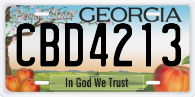 GA license plate CBD4213