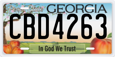 GA license plate CBD4263