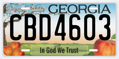 GA license plate CBD4603