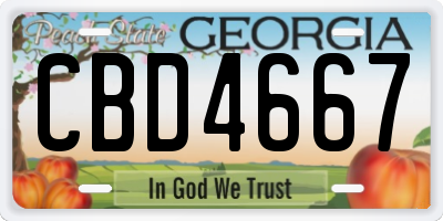 GA license plate CBD4667