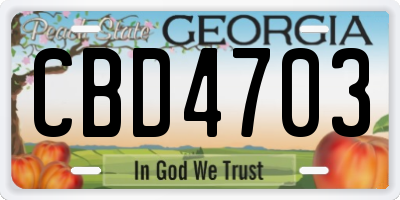 GA license plate CBD4703