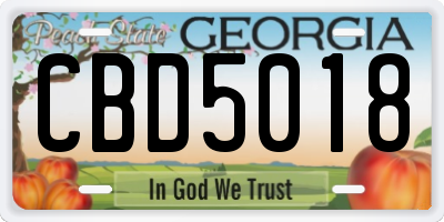 GA license plate CBD5018