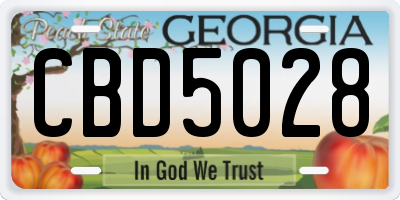 GA license plate CBD5028