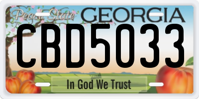 GA license plate CBD5033