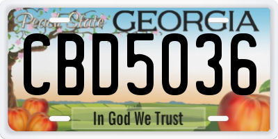 GA license plate CBD5036