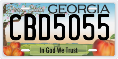GA license plate CBD5055