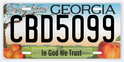 GA license plate CBD5099