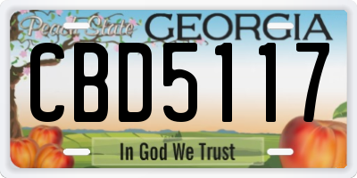 GA license plate CBD5117