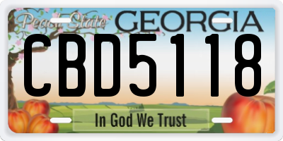 GA license plate CBD5118