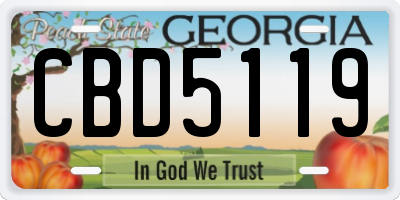 GA license plate CBD5119