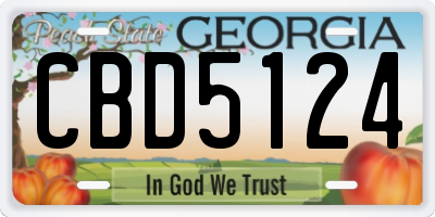 GA license plate CBD5124