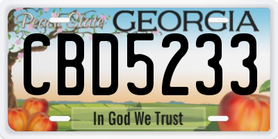GA license plate CBD5233
