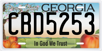 GA license plate CBD5253