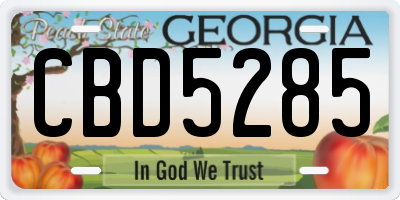 GA license plate CBD5285