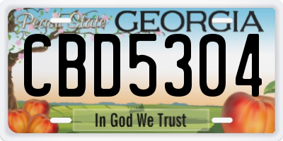GA license plate CBD5304
