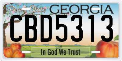 GA license plate CBD5313