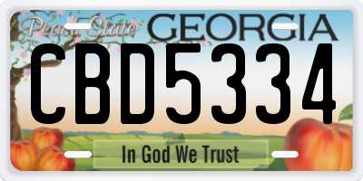 GA license plate CBD5334