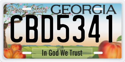 GA license plate CBD5341