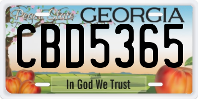 GA license plate CBD5365