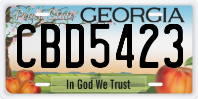 GA license plate CBD5423