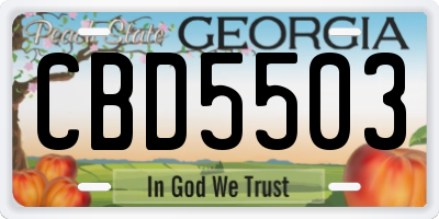 GA license plate CBD5503