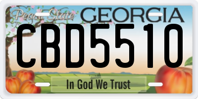 GA license plate CBD5510