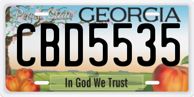 GA license plate CBD5535