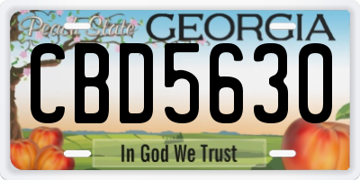 GA license plate CBD5630