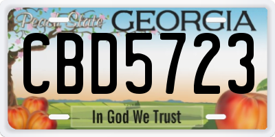 GA license plate CBD5723