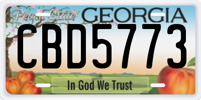 GA license plate CBD5773