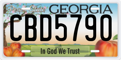 GA license plate CBD5790