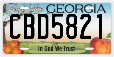GA license plate CBD5821
