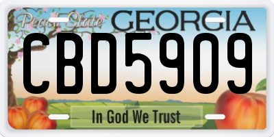GA license plate CBD5909