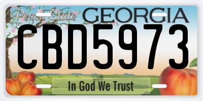 GA license plate CBD5973