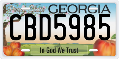 GA license plate CBD5985