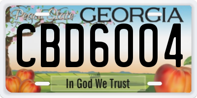 GA license plate CBD6004