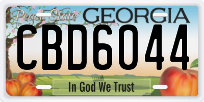 GA license plate CBD6044