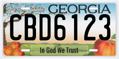 GA license plate CBD6123